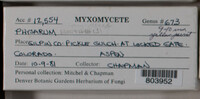 Image Associated With the Occurence
